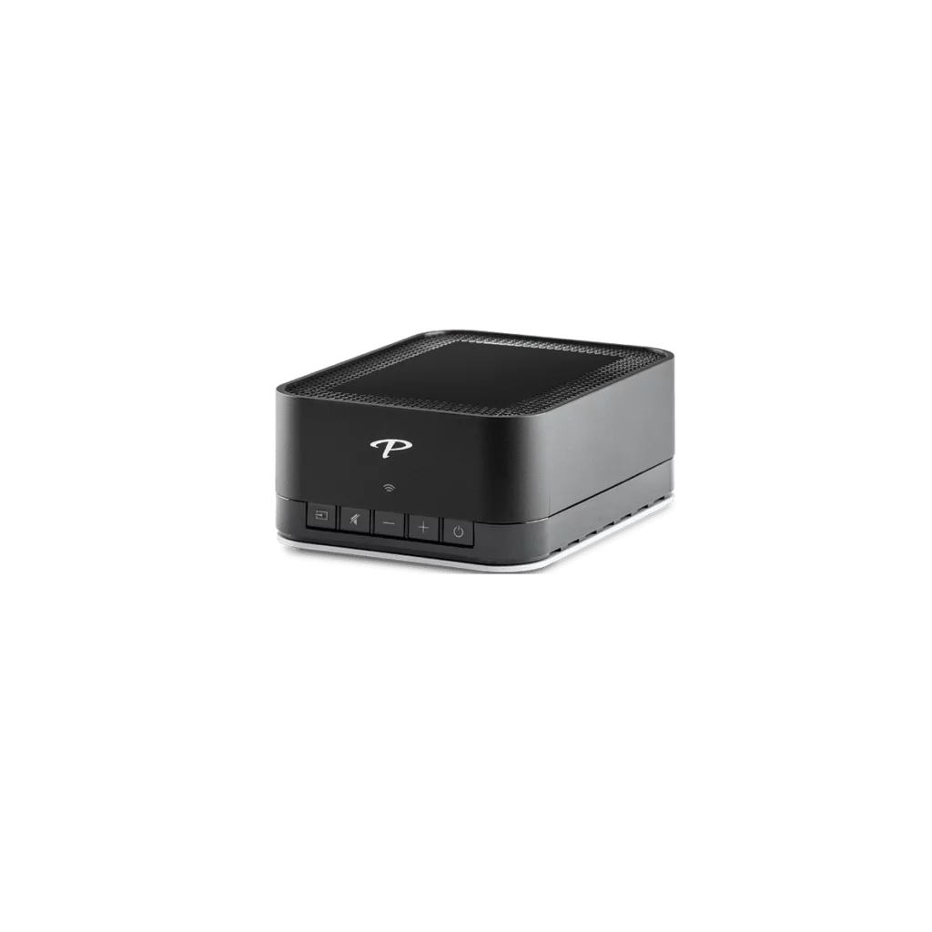 Paradigm PW AMP