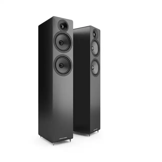 Acoustic Energy AE109.2 luidspreker in satijn zwart