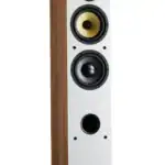 Davis Acoustics Ariane 5 – vooraanzicht vloerstaander