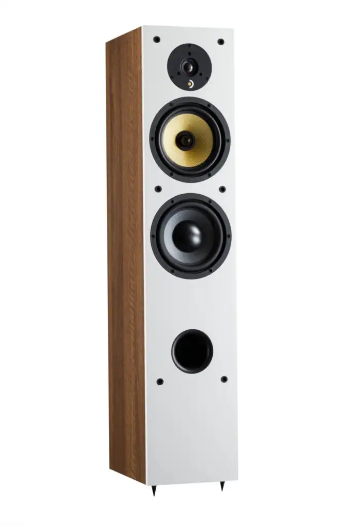Davis Acoustics Ariane 5 – vooraanzicht vloerstaander