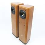 Tannoy D300