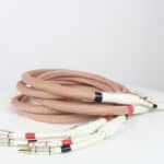 Dedalus Speaker Elite